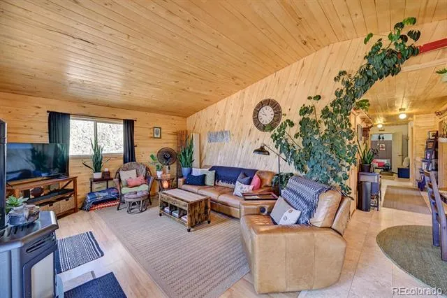 33733 County Road 373a Buena Vista, CO 81211