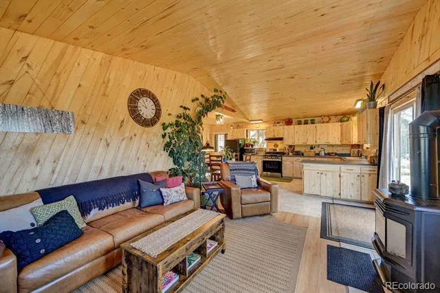 33733 County Road 373a Buena Vista, CO 81211