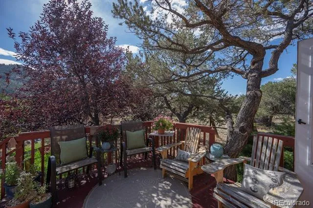 33733 County Road 373a Buena Vista, CO 81211