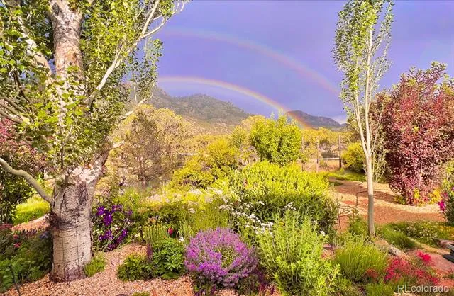 33733 County Road 373a Buena Vista, CO 81211