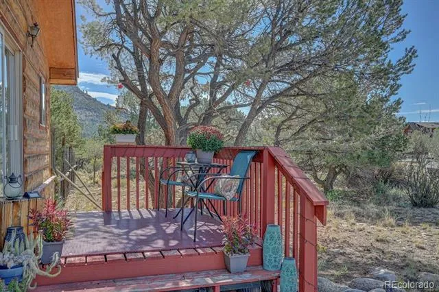 33733 County Road 373a Buena Vista, CO 81211