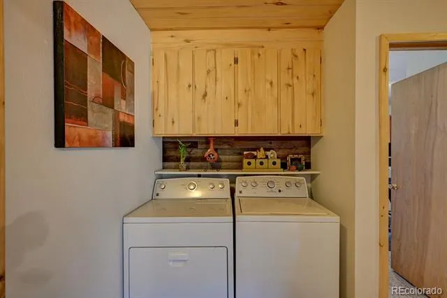 33733 County Road 373a Buena Vista, CO 81211