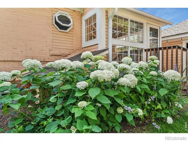 837 Jefferson Avenue Loveland, CO 80537