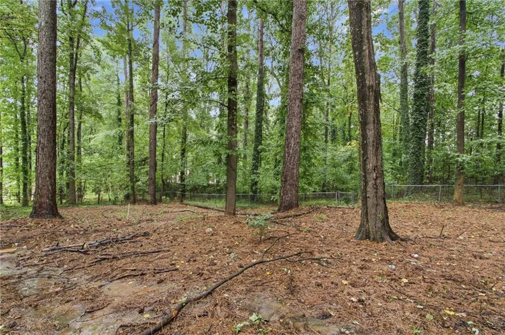 610 Ponderosa Court Fayetteville, GA 30214