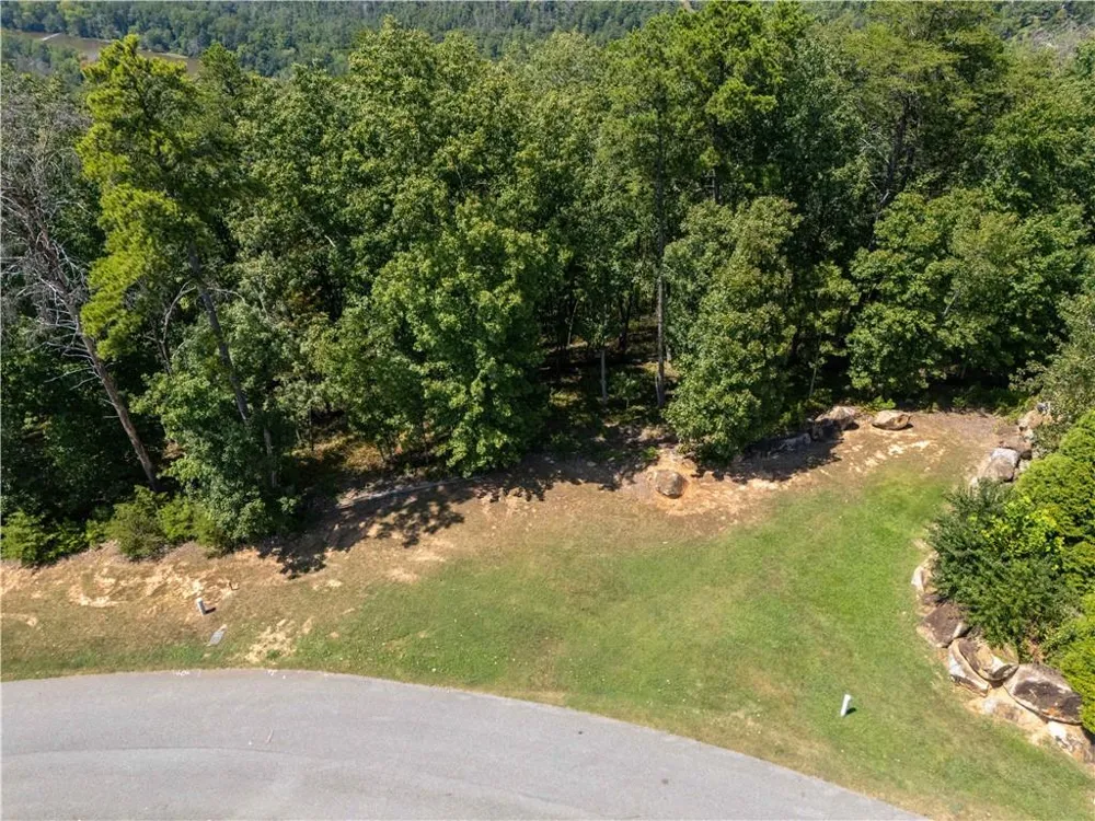 104 Somerset Lane Cartersville, GA 30121