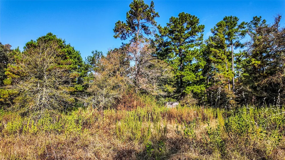 1493 Fm 980 Huntsville, TX 77320