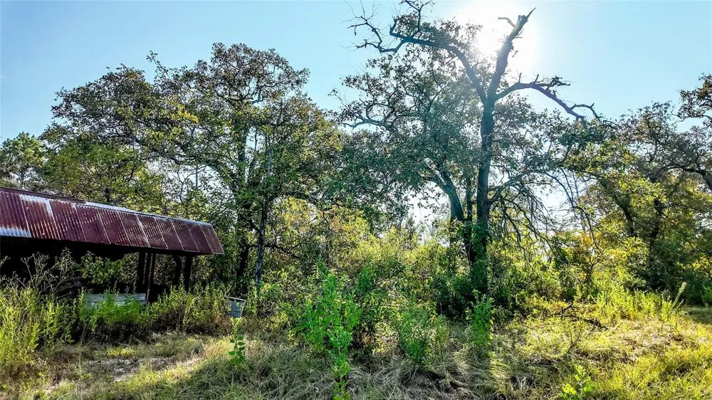 1493 Fm 980 Huntsville, TX 77320