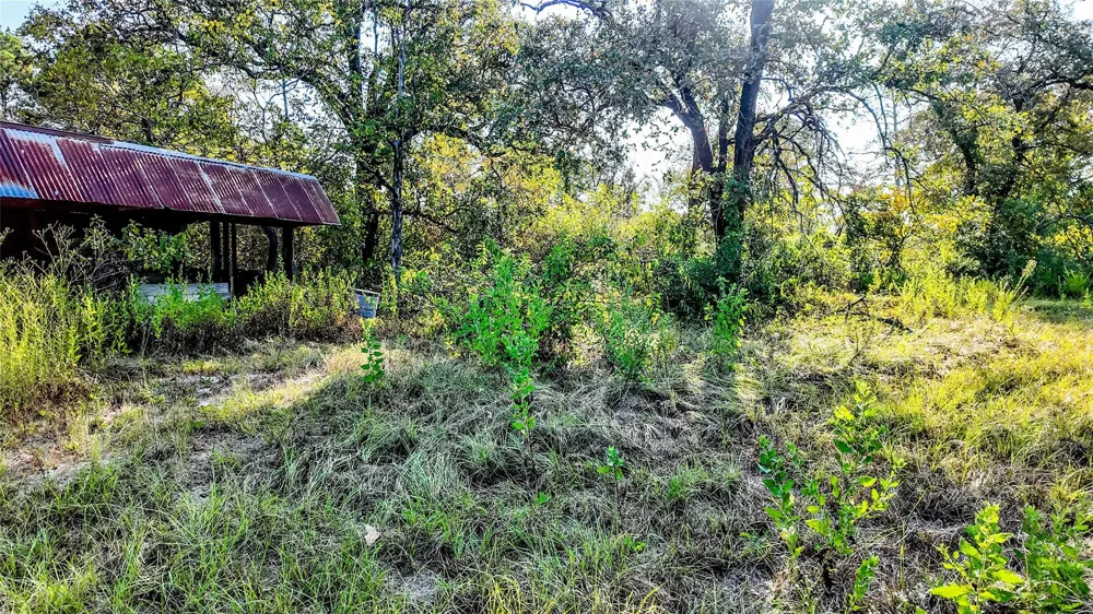 1493 Fm 980 Huntsville, TX 77320