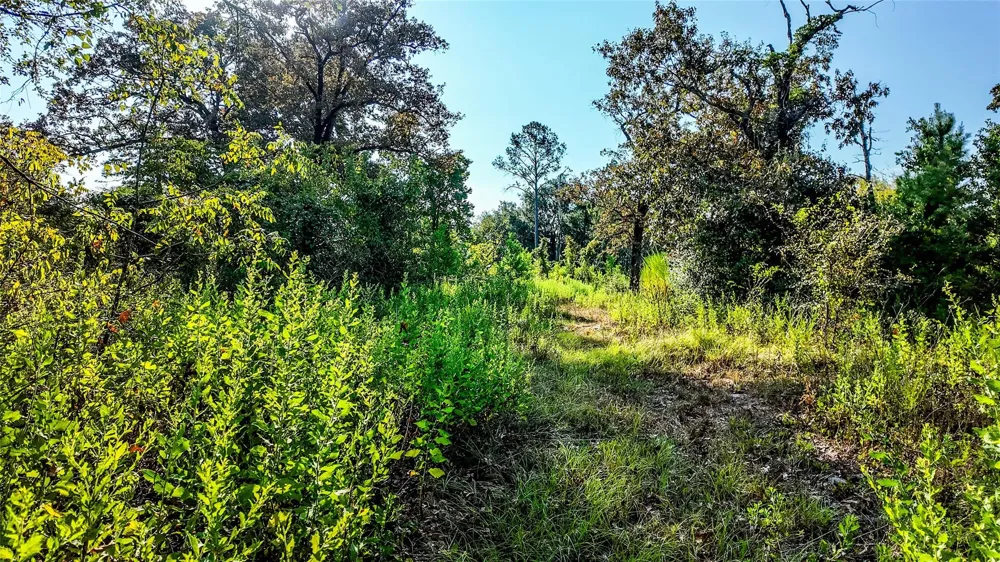 1493 Fm 980 Huntsville, TX 77320
