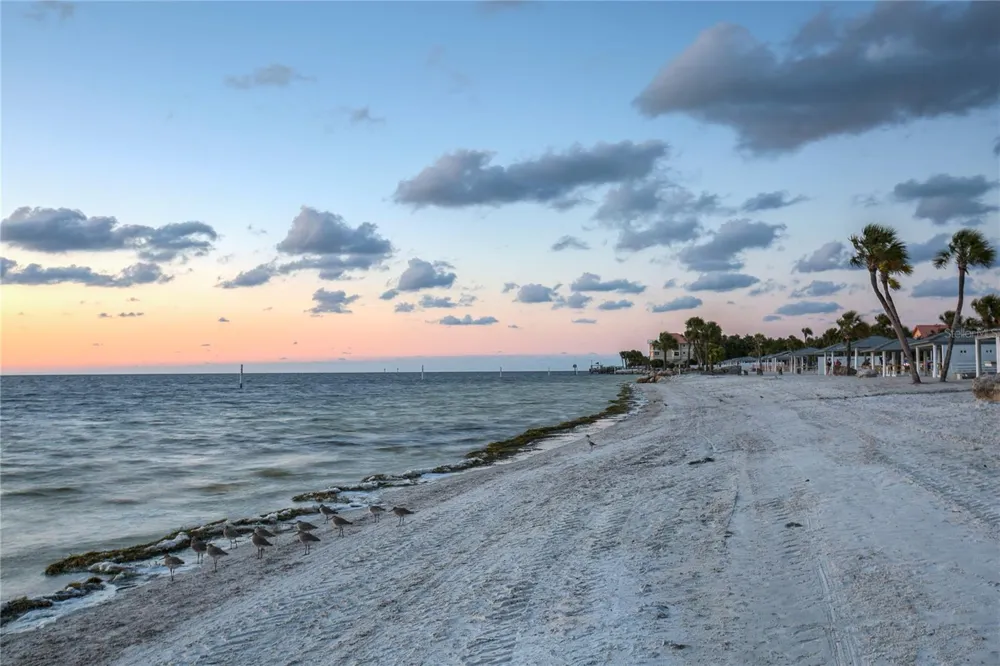 5245 AMULET DRIVE #309 New Port Richey, FL 34652