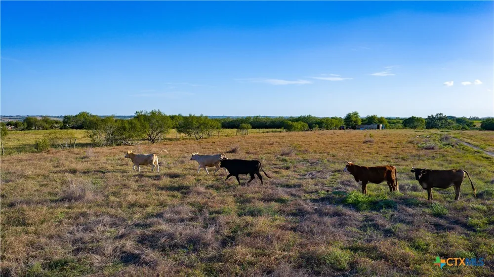 2850 Bylerpool Road Kingsbury, TX 78638
