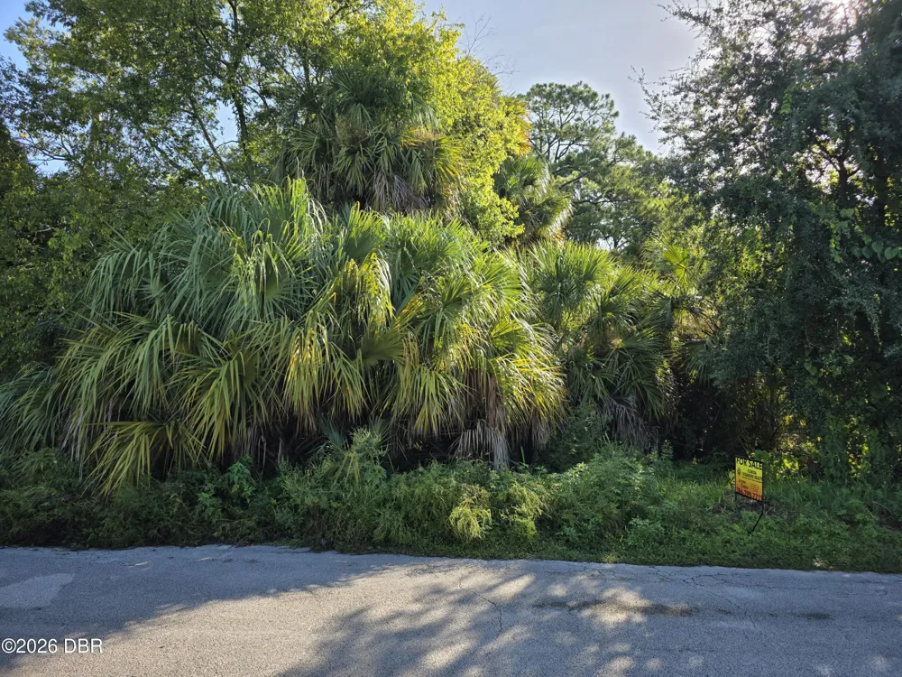1201 Powers Avenue Holly Hill, FL 32117
