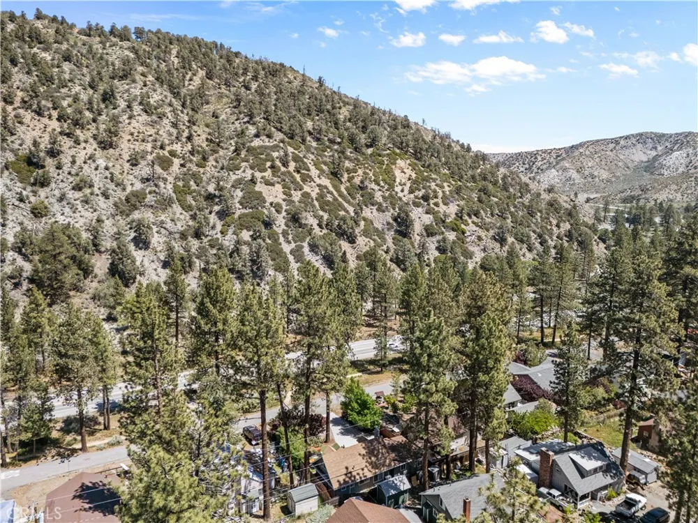 1902 Virginia Wrightwood, CA 92397