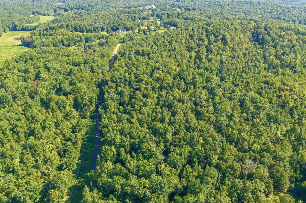 2950 McKenzie Rd Parsons, TN 38363