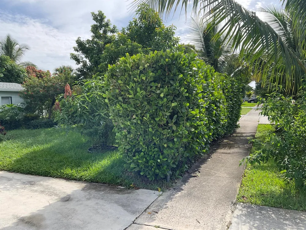 211 NE 27TH AVENUE Boynton Beach, FL 33435