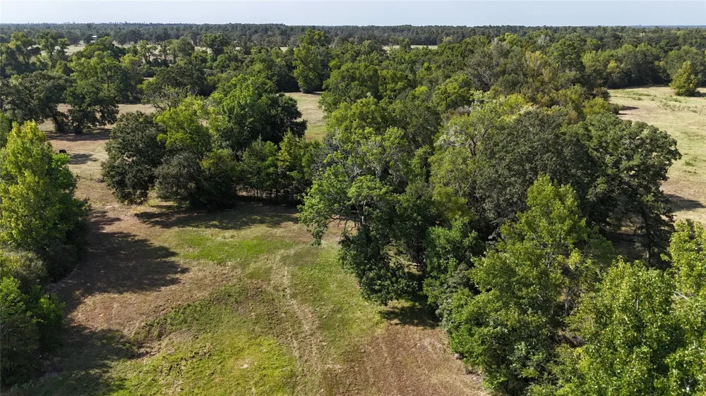 476 Rosenwall Road Huntsville, TX 77320