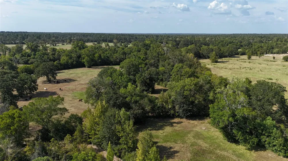 476 Rosenwall Road Huntsville, TX 77320