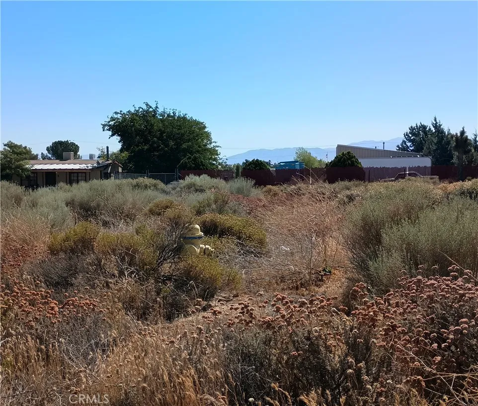 7139 Amestoy Road Oak Hills, CA 92344