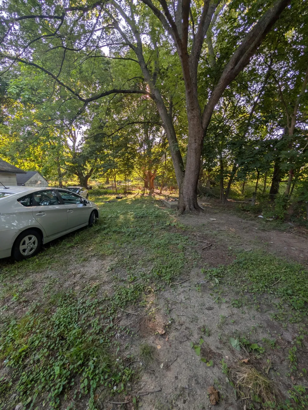 731 S Magnolia Avenue Lansing City, MI 48912