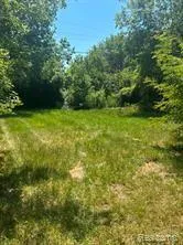1201 Oleander Drive Genesee Charter Township, MI 48458