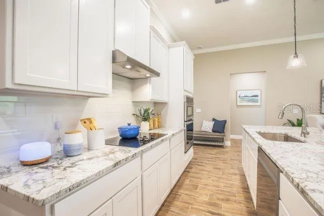 TBD OLD SQUAW AVENUE Weeki Wachee, FL 34614