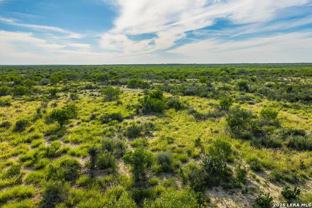 2750 FM 624 Tilden, TX 78072