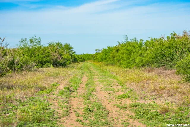 2750 FM 624 Tilden, TX 78072