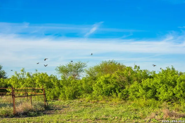 2750 FM 624 Tilden, TX 78072