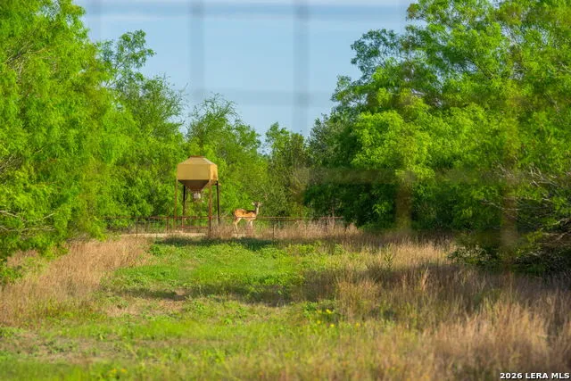 2750 FM 624 Tilden, TX 78072
