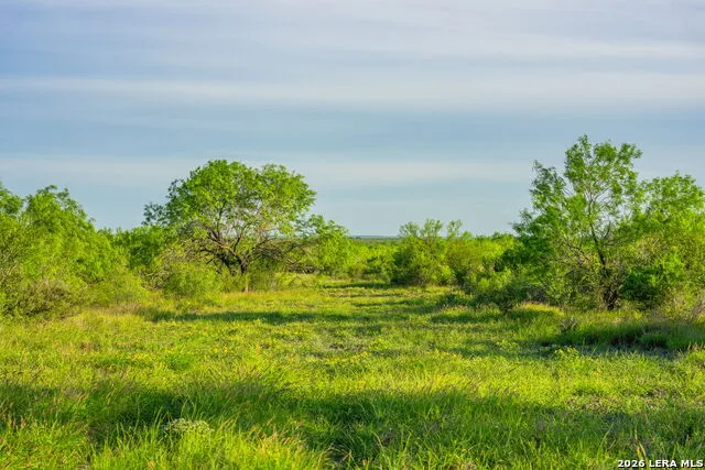 2750 FM 624 Tilden, TX 78072