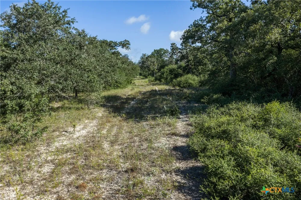 180 Autumn Oak Ct Caldwell, TX 77836