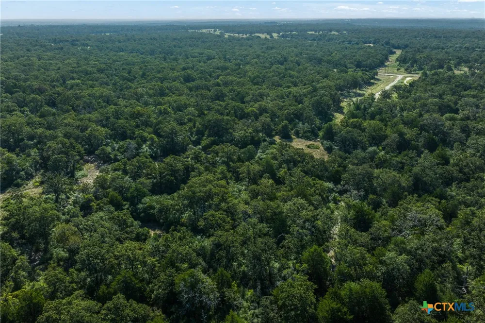180 Autumn Oak Ct Caldwell, TX 77836