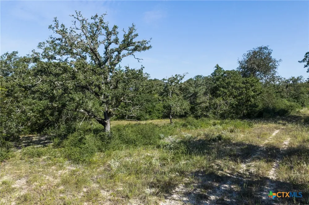 180 Autumn Oak Ct Caldwell, TX 77836