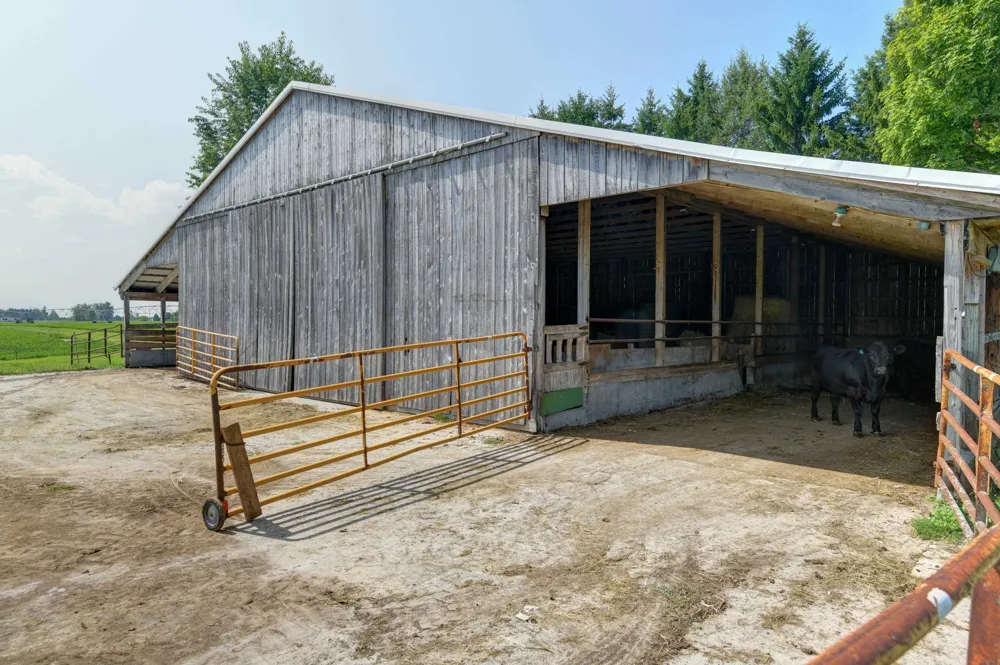 5773 Zue Road Mayfield Township, MI 49620