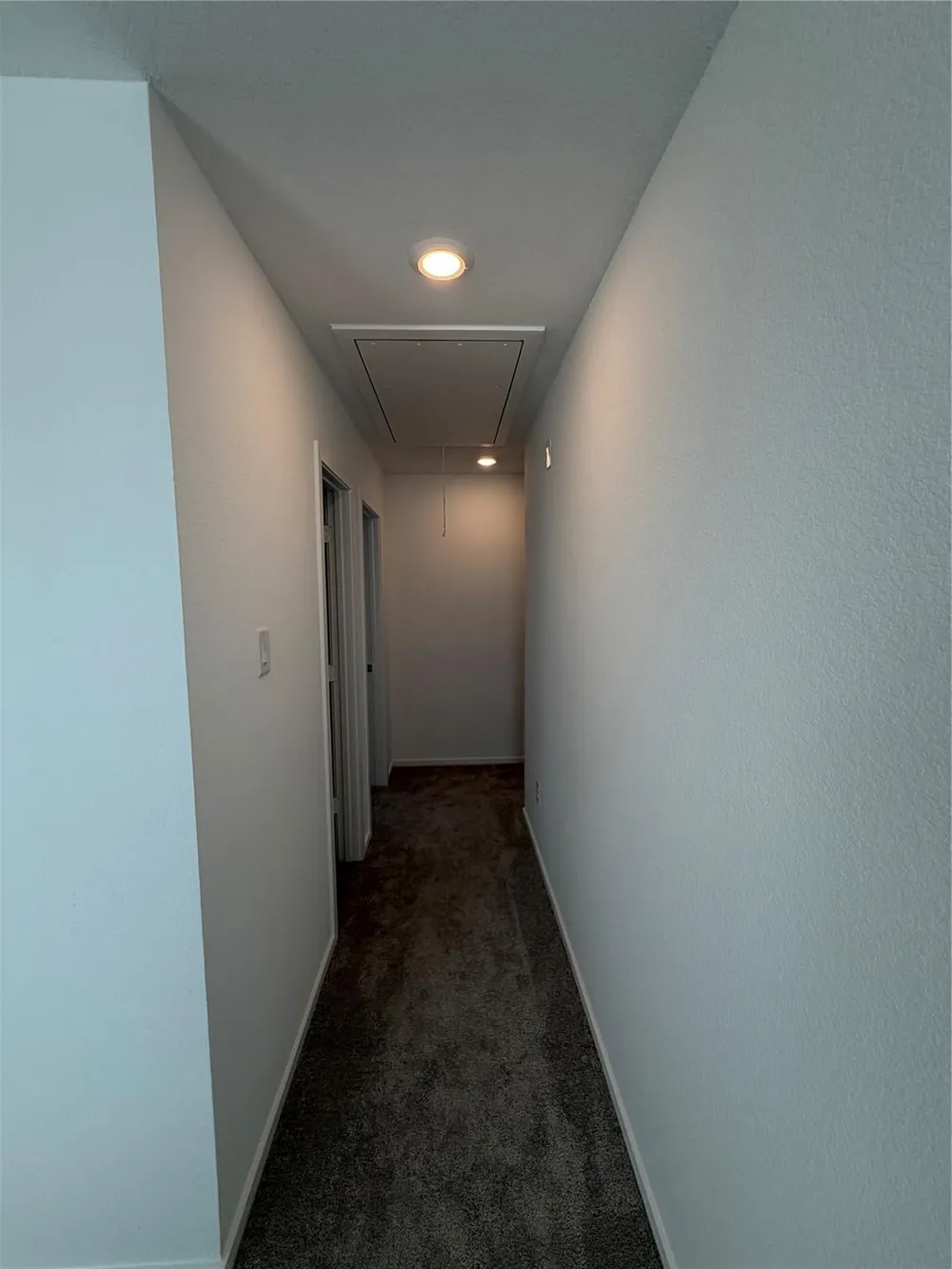 16815 Spotted Oak Drive Hockley, TX 77447