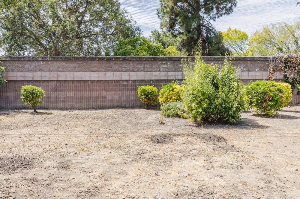 917 Blazingwood Drive Sunnyvale, CA 94089