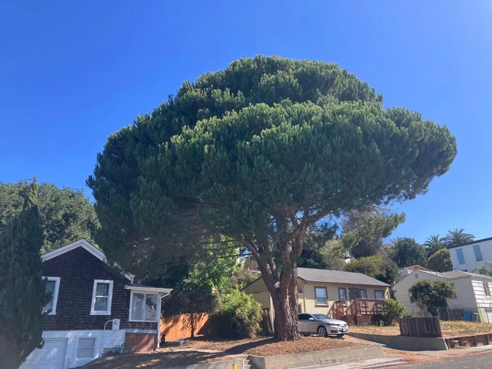 104 Wilson Avenue Vallejo, CA 94590