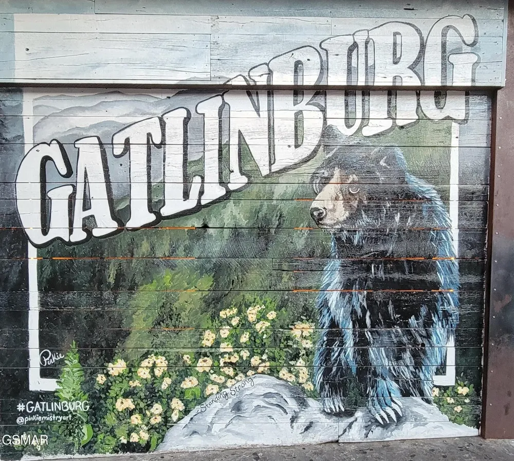354 E Holly Ridge Road #603 Gatlinburg, TN 37738
