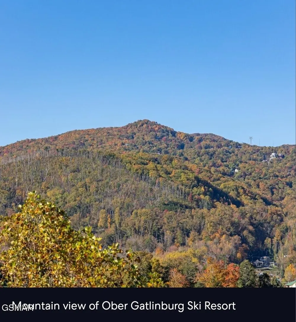 354 E Holly Ridge Road #603 Gatlinburg, TN 37738