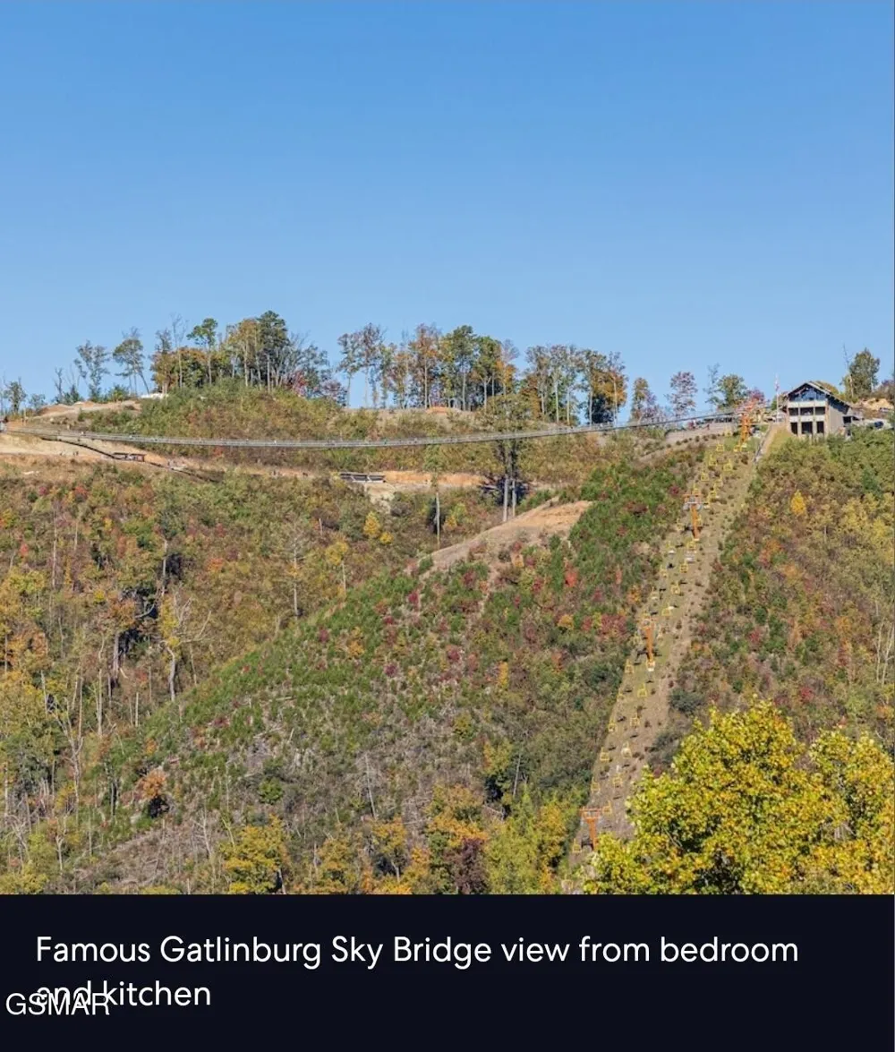 354 E Holly Ridge Road #603 Gatlinburg, TN 37738