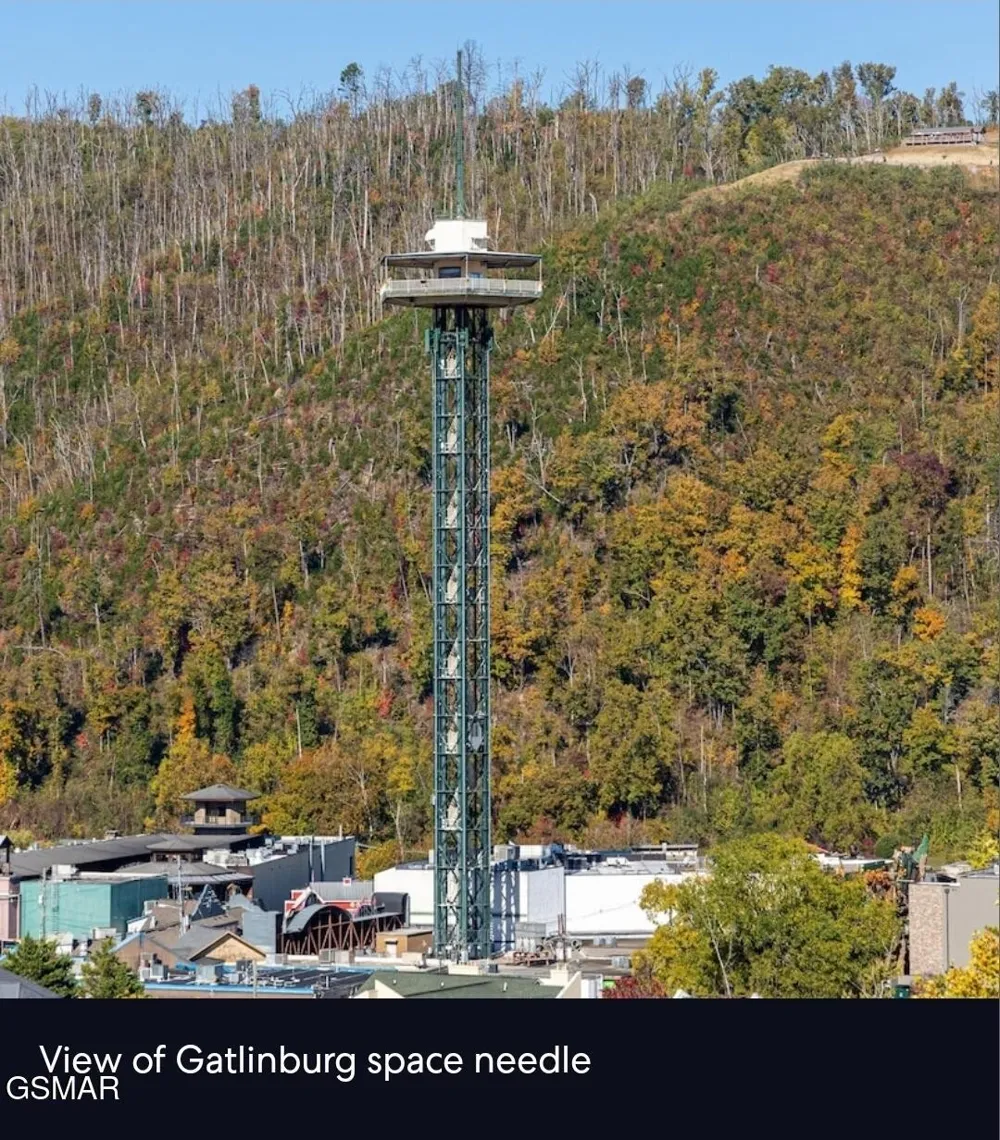 354 E Holly Ridge Road #603 Gatlinburg, TN 37738