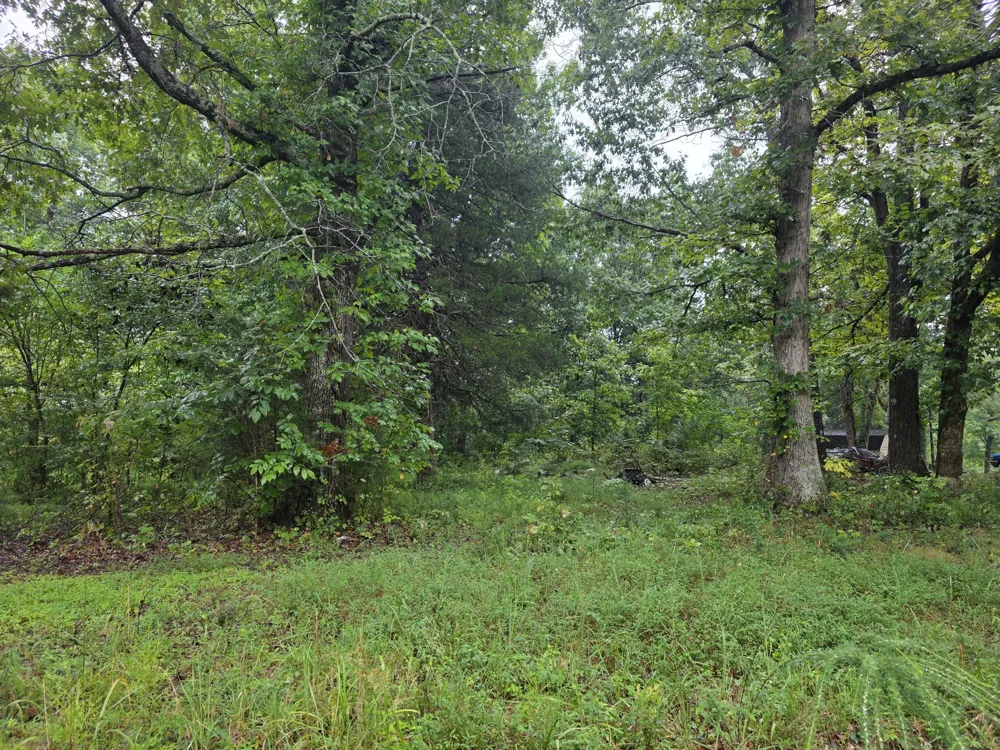 1875 Old Lock a Rd Charlotte, TN 37036