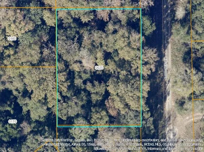TBD RIDGEWOOD AVENUE De Leon Springs, FL 32130