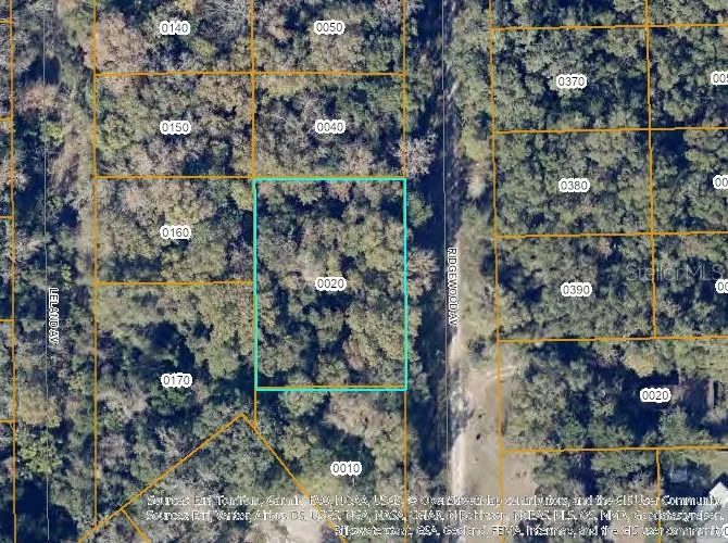 TBD RIDGEWOOD AVENUE De Leon Springs, FL 32130