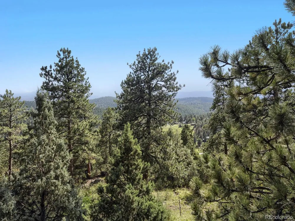 479 Doe Circle Bailey, CO 80421