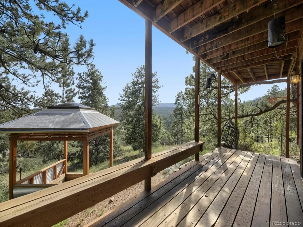 479 Doe Circle Bailey, CO 80421