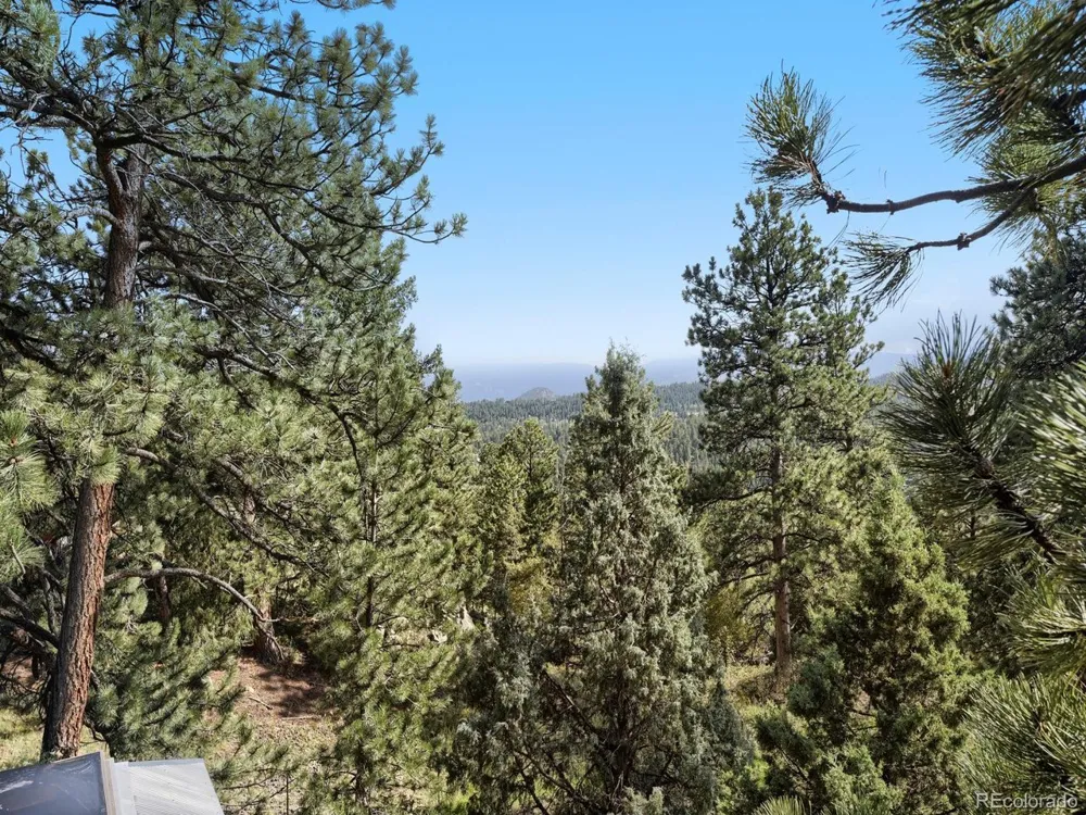 479 Doe Circle Bailey, CO 80421