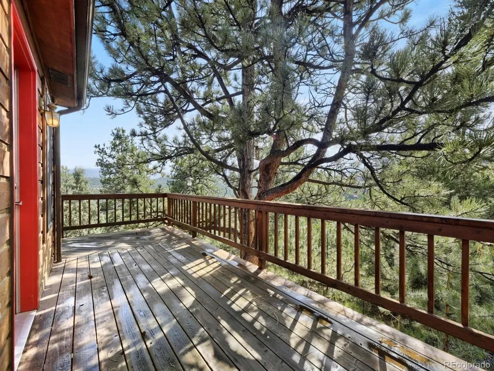 479 Doe Circle Bailey, CO 80421