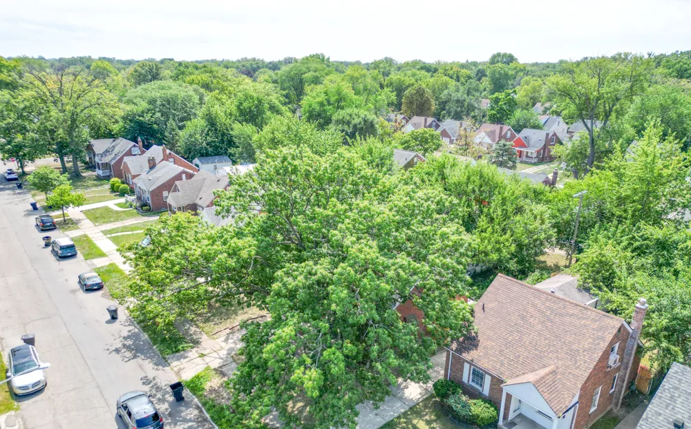 6165 Farmbrook Street Detroit, MI 48224