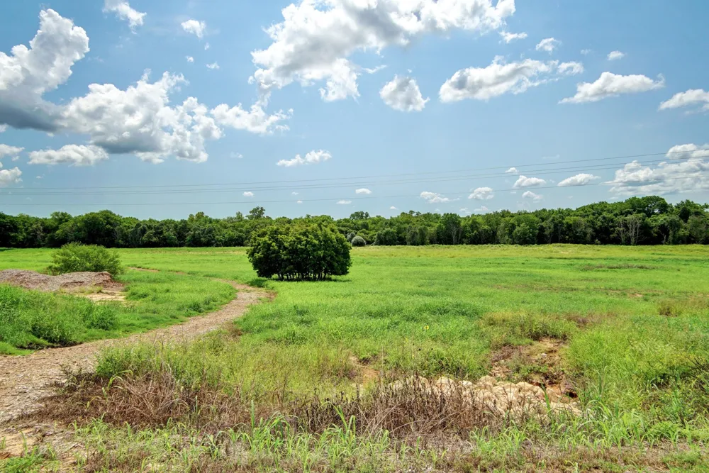 223 Tributary Way Bastrop, TX 78602